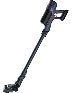 Rowenta XPert 6.60 RH6838 · Aspiradora sin Cable ▶️ TiendaCPU