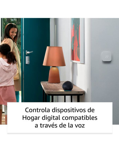 Buy Amazon Echo Dot 5th Generation Charcoal – Smart Speaker with Alexa