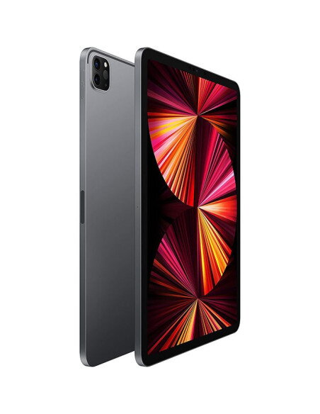 TaAlet Apple 2021 iPad Pro 11 WiFi 2 TB (3.ª generación) Gris Espacial