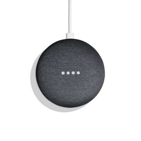 Google Home Mini Smart Speaker and Coal Assistant
