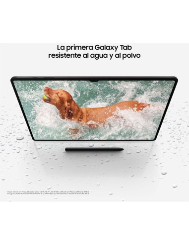 Comprar Online Tablet Samsung Galaxy Tab S9+ 12/512GB WiFi