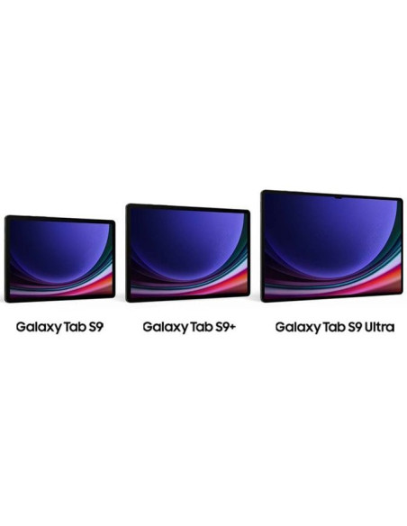 Samsung Galaxy Tab S9+ 512 Gb Wifi
