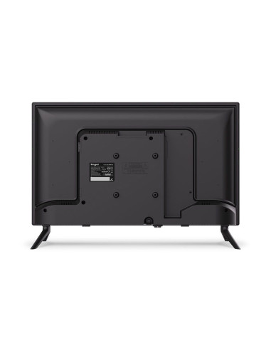 Comprar Online Televisor Ever-LED 24" HD/T2 Black