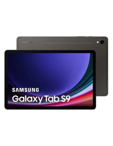 Tablet Samsung Galaxy Tab S9 256Gb Wifi Gris + Pen