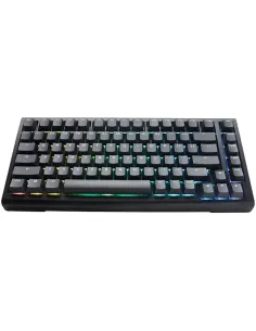 CoBprarDDucky Tinker75 75% RGB Black MX Blue (ES)