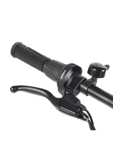 Comprar E-Bike URBANA Youin Amsterdam IV