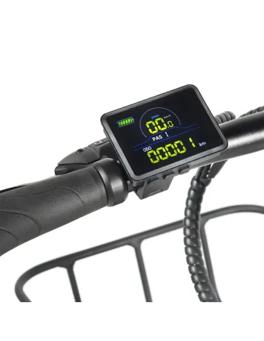 Bicicleta Electrica E-Bike FAT Youin DALLAS RED