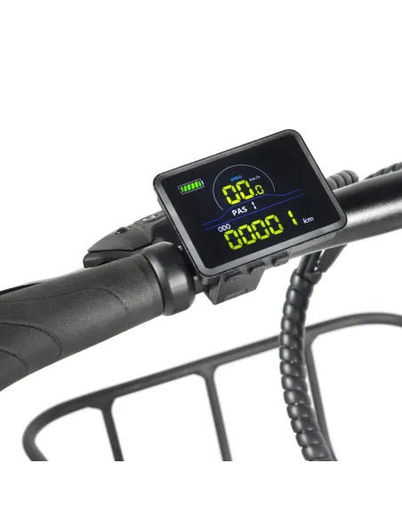 Bicicleta Electrica E-Bike FAT Youin DALLAS COPPER