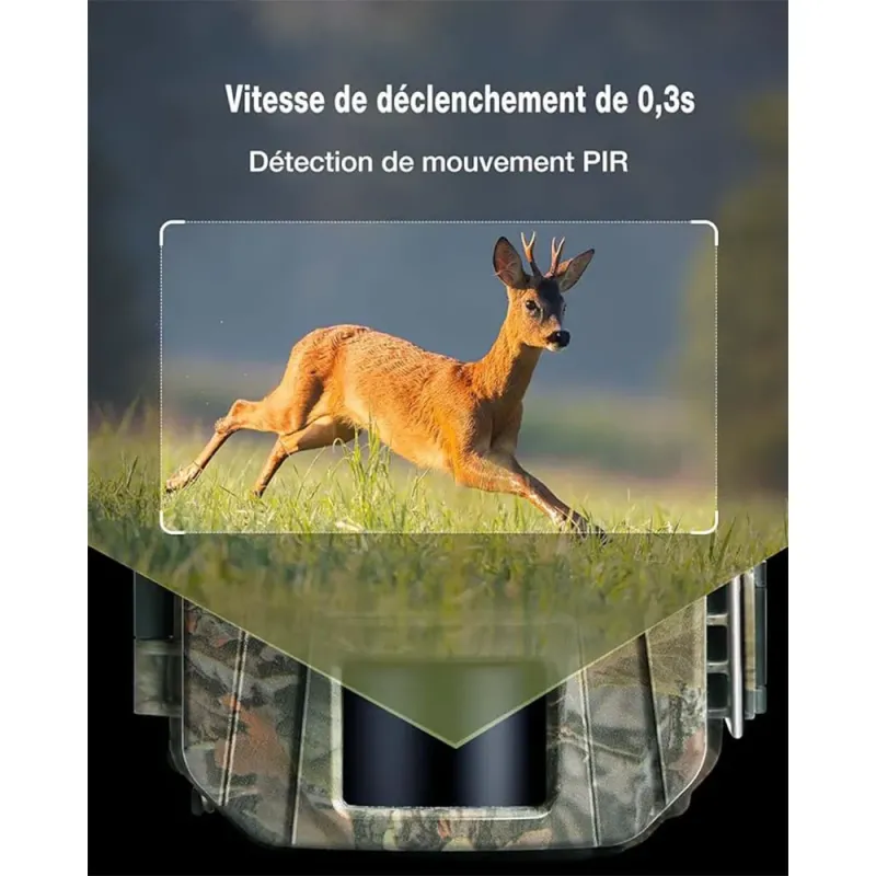 WOLFANG Wildkamera