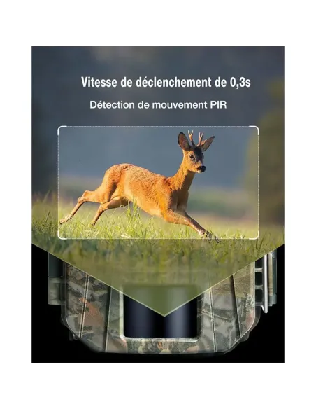 WOLFANG Wildkamera