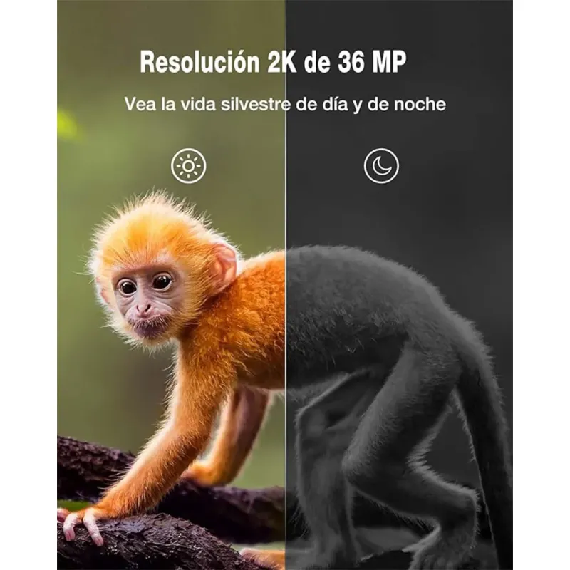 WOLFANG Wildkamera