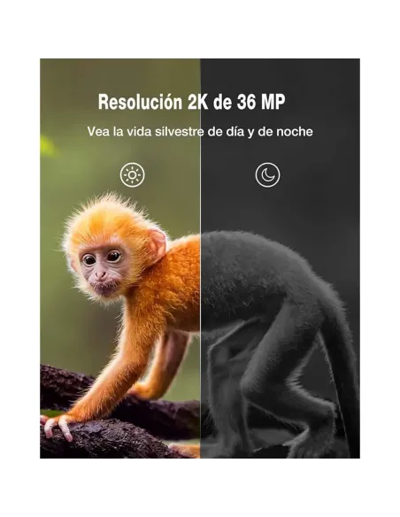 WOLFANG Wildkamera