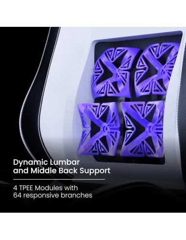 VERTAGEAR PL6800 HYGENNX Black/White | Ergonomic XL gamer chair