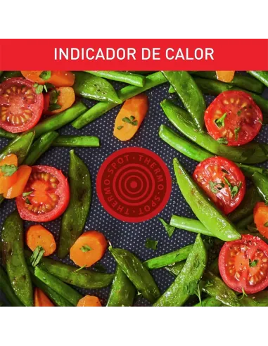 Tefal Duetto Juego de Sartenes 20/24/28 cm Acero Inoxidable Inducción