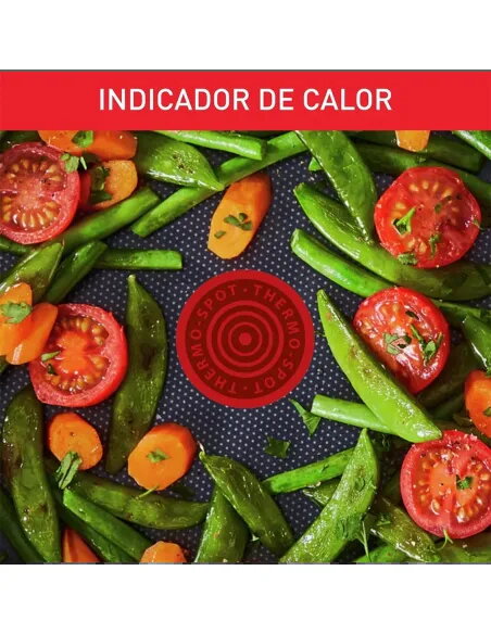 Tefal Duetto - Juego de Sartenes de 20/24/28 cm Acero Inoxidable Inducción Antiadherente