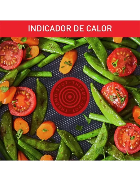 Tefal Duetto Juego de Sartenes 20/24/28 cm Acero Inoxidable Inducción