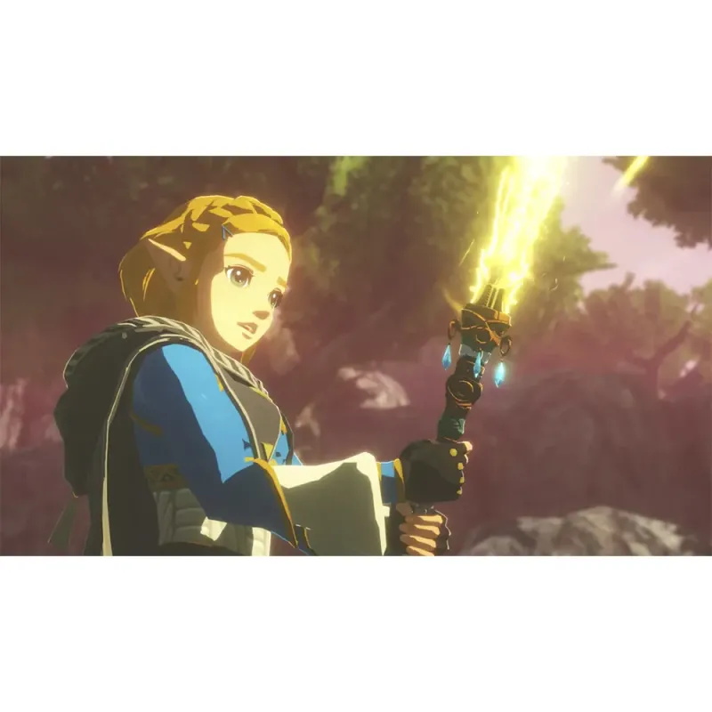 Hyrule Warriors: The Age of Exile | Nintendo Switch 2 Game