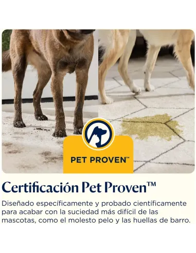 BISSELL SpotClean C5 | Aspirador de Manchas Silencioso - TiendaCPU