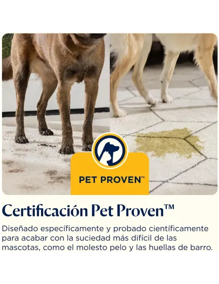 BISSELL SpotClean C5 | Aspirador de Manchas Silencioso - TiendaCPU