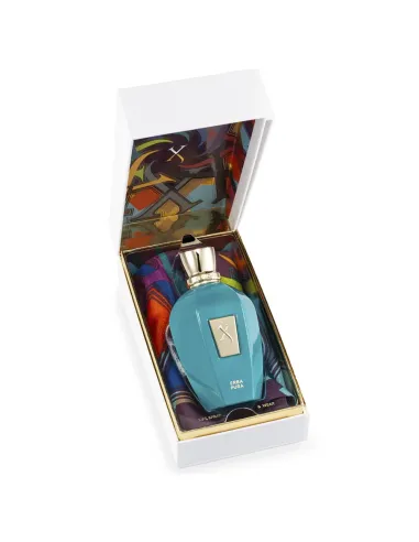 Buy Xerjoff Erba Pura EDP 100ml | Luxury Fruity Scent - TiendaCPU