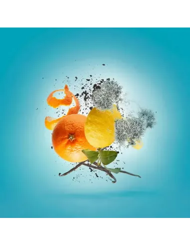 Buy Xerjoff Erba Pura EDP 100ml | Luxury Fruity Scent - TiendaCPU