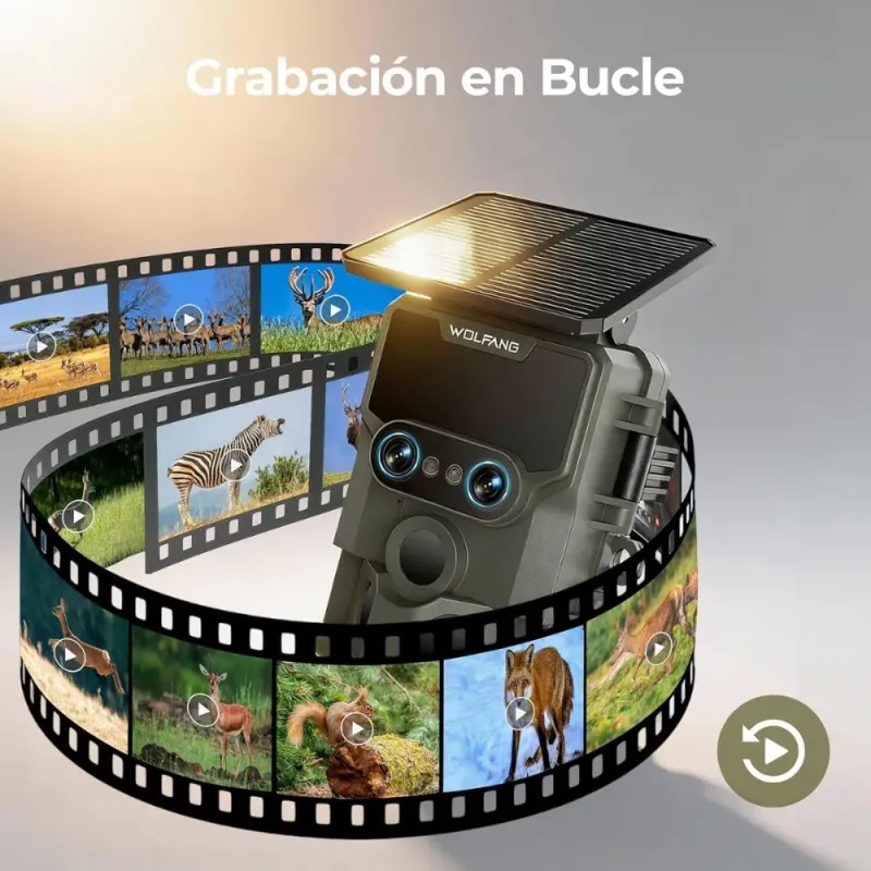 Camara Caza WOLFANG WT09 Solar Lente Dual 64MP 4K Wi Fi