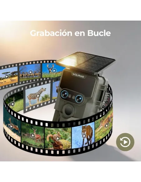 Camara Caza WOLFANG WT09 Solar Lente Dual 64MP 4K Wi Fi