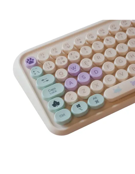 Blade Tanooki Cozy Pack | Wireless Bluetooth Keyboard & Mouse