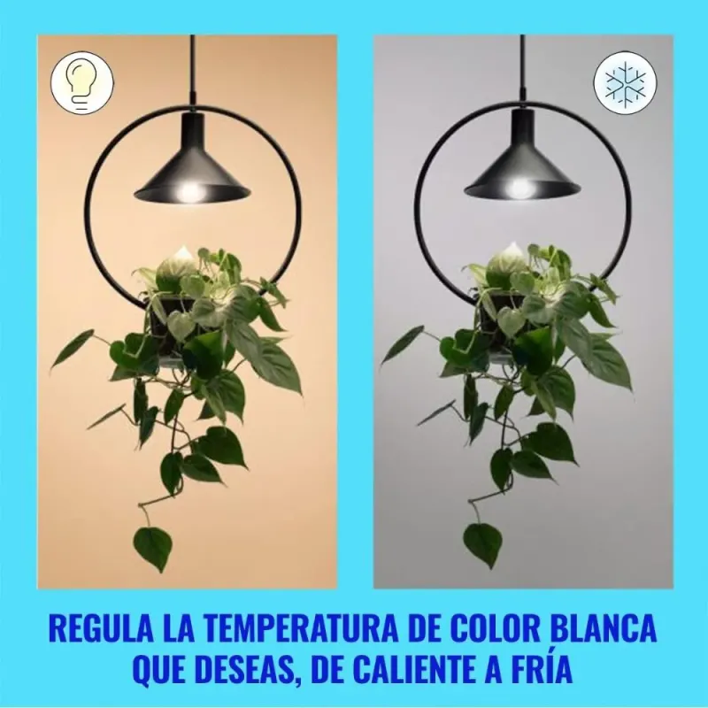 WiZ - Bombilla LED inteligente, E27, clase A