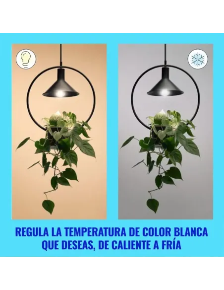 WiZ - Bombilla LED inteligente, E27, clase A