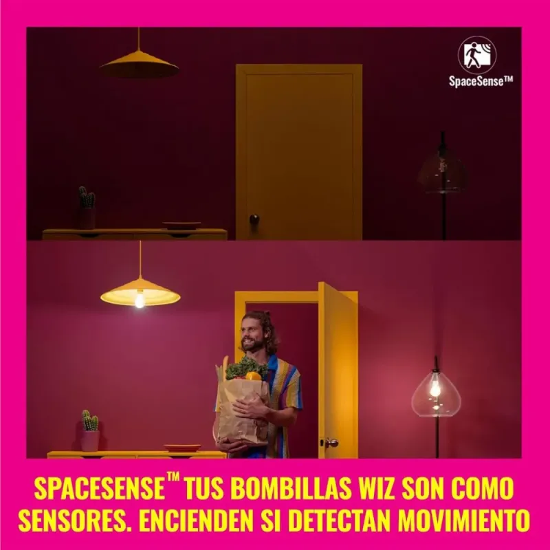 WiZ - Bombilla LED inteligente, E27, clase A