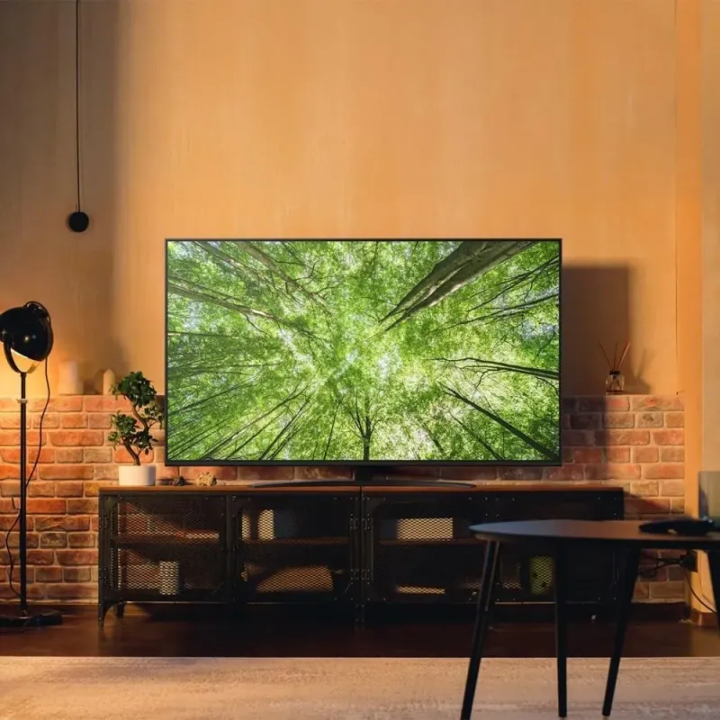 LG NanoCell 65NANO81A6A 65" 4K Smart TV