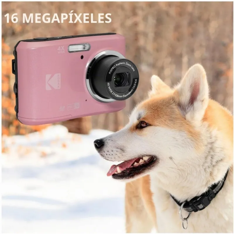 CÁMARA KODAK FZ45PK ROSA