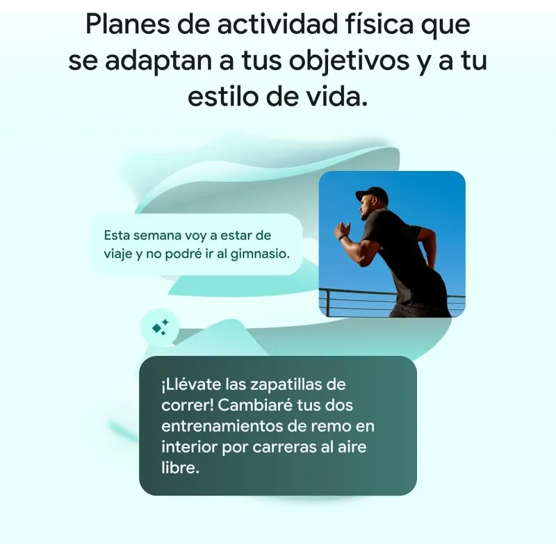 Google Fitbit Air Gris Niebla