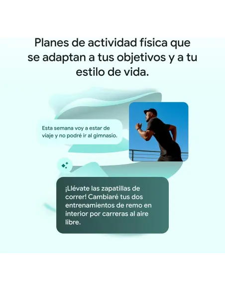 Google Fitbit Air Gris Niebla