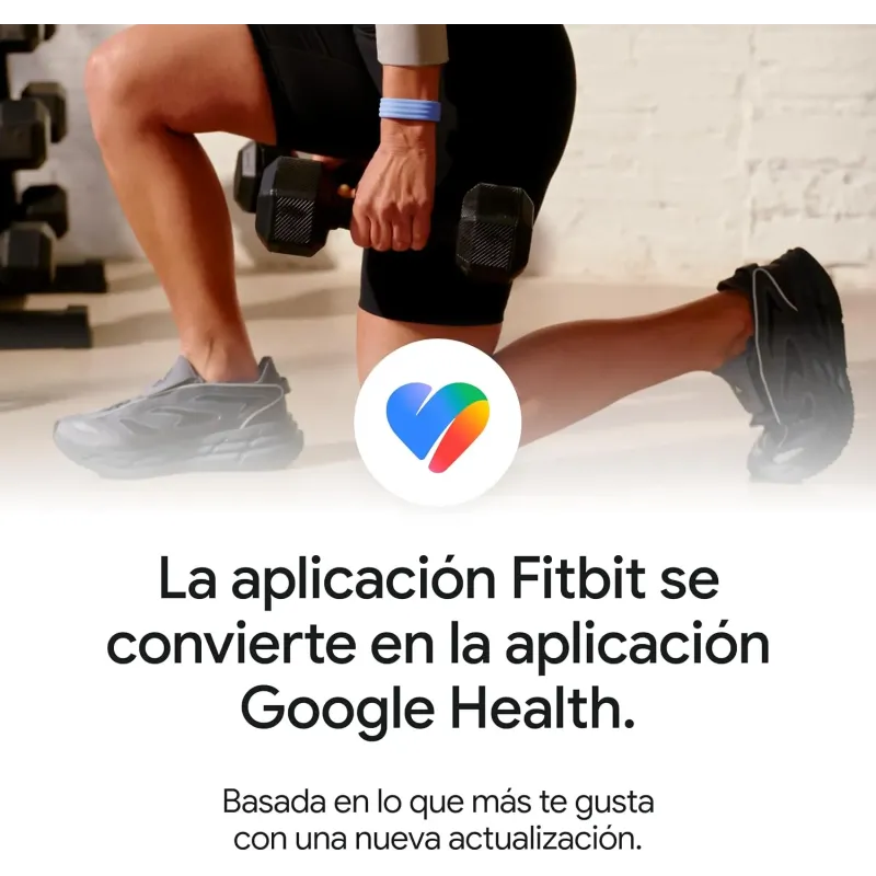 Google Fitbit Air Gris Niebla