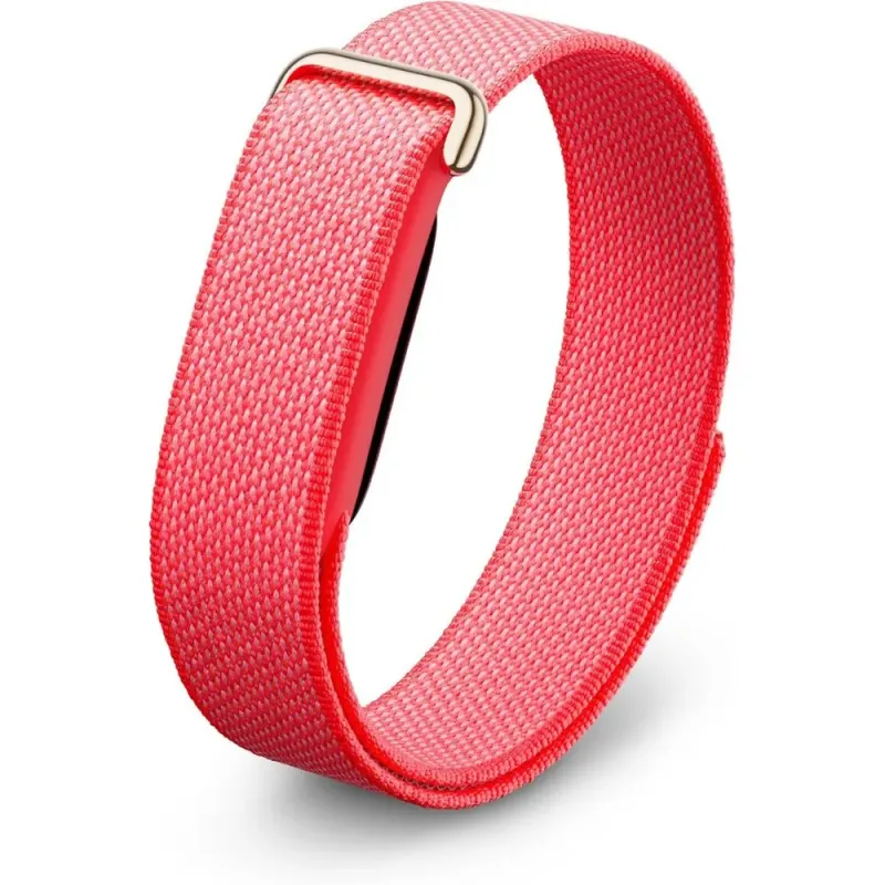 Google Fitbit Air Frambuesa - Pulsera de actividad sin pantalla