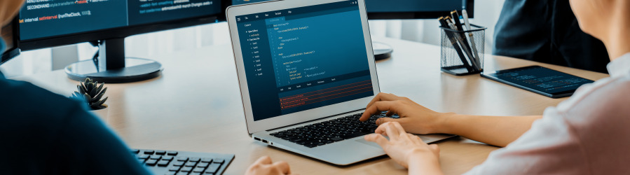 Software y Productividad